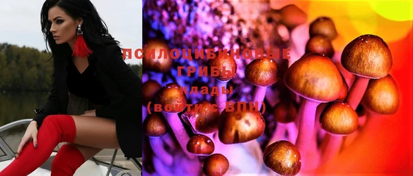 мдпв Магадан