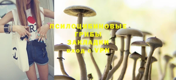 мдпв Магадан